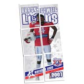 sechs A3-Poster zum sammeln